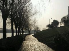-羊山湖公园