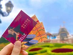 -上海迪士尼度假区