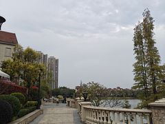 -美的鹭湖森林度假区