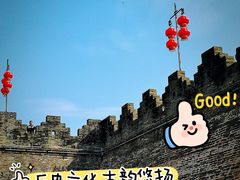 -鼎香皇高佬苏裹蒸粽