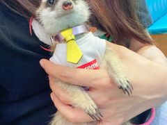 -My Way Town买味堂·东南亚餐厅(亦庄店)