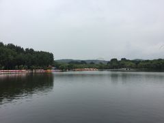 -二一九公园