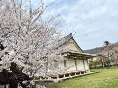 -醍醐寺