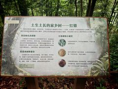 -广州市帽峰山景区