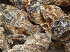 -广州花园酒店-凌璇阁360度高空海鲜自助餐CAROUSEL