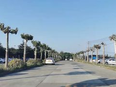 -无忧学车·华茂基地(宝山校区)