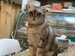 -小时光咖啡馆(北锣鼓巷店)
