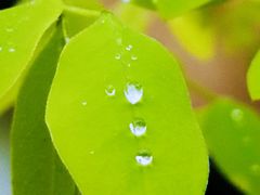 -天津东丽湖风景区