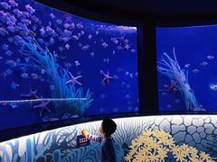 -沈阳海洋探索中心