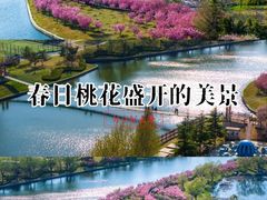 -羊亭河湿地公园