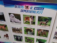-宠颐生宠物医院外科·内科·皮肤科·影像科(石龙店)