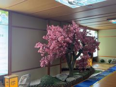 -汤泉良子(马连道店)