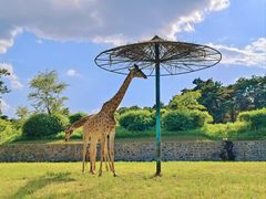 -沈阳森林动物园