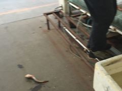 -海香园饭店