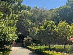 -上海佘山国家森林公园天马山园