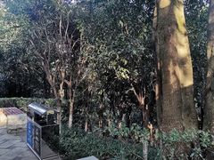 -龙头寺公园