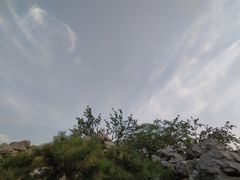 -迎泽公园