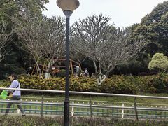 -天河儿童公园