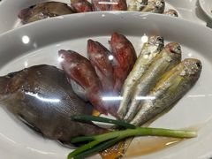 -高佳庄·海鲜酒楼(临城百合店)