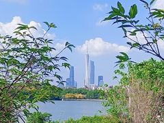 -海珠湖公园