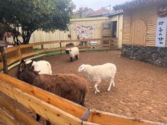 -HERRE·FARM 赫尔露营农场·团建聚会包场