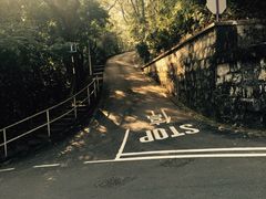 -大埔公路-马料水段香港中文大学(公交站)