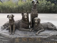 -西安秦岭野生动物园