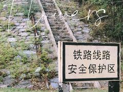 -永定河休闲森林公园