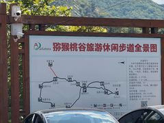 -大岭沟猕猴桃谷风景区