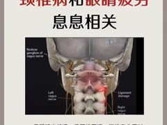 -体博士·疼痛调理·体态矫正·运动康复中心(大望路华贸店)