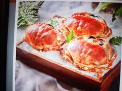 -Mr.Fish鱼鲜生海鲜放题(高德置地冬广场店)