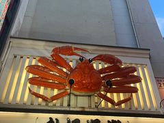 -蟹道乐(網元別館店)