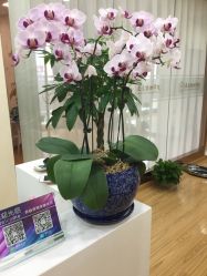 -亚太瑜伽普拉提学院