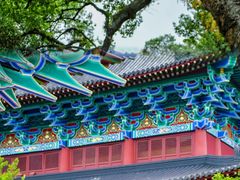 -江西龙虎山景区