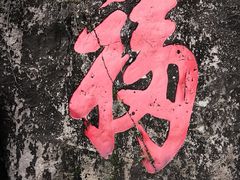 -天鹿湖森林公园