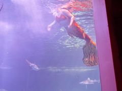 -太平洋海底世界