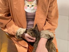 -鸿顺老铁锅美蛙鱼府(解放碑店)
