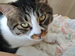 -嘉馨宠物医院·CT影像转诊·心脏科·犬猫全科诊疗中心(下沙大学城院区)