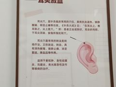 -上海市眼病防治中心(康定路院区)