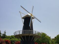 -上海鲜花港