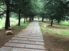 -嵩山少林文化旅游景区