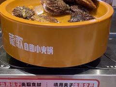 -龍歌自助小火锅(市北CBD万达店)