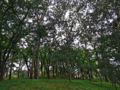 -元大都城垣遗址公园