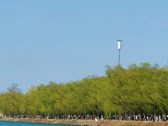 -北京国子监胡同