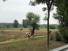 -月河湾马术俱乐部(朝阳店)