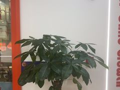 -昂立青少儿成长中心(普陀中环百联校区)