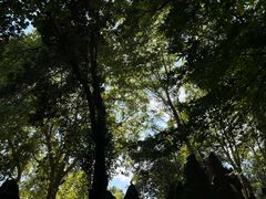 -赭山公园