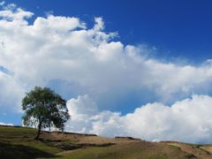 -塞罕坝国家级自然保护区