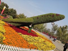 -大兴滨河森林公园