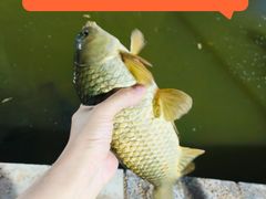 -酷鱼垂钓CLUB(朝阳区博大路店 )